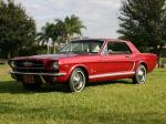 Ford Mustang HardTop 1965 года